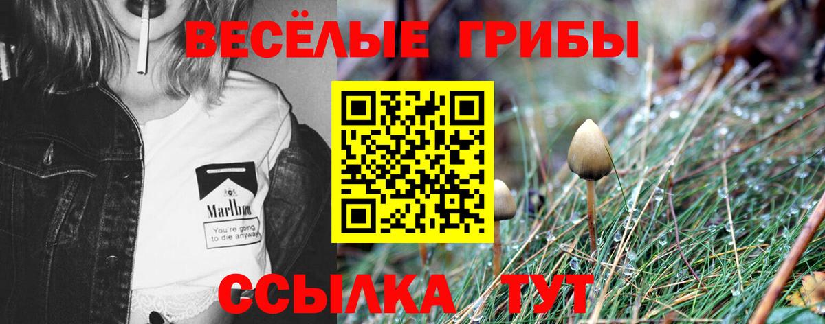 Псилоцибиновые грибы прущие грибы  Галлюциногенные грибы Psilocybine cubensis  Вход с VPN  Ачхой-Мартан 